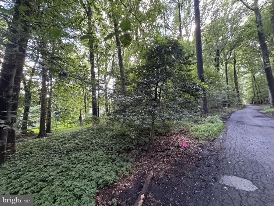 Sterling Montague Dr, Great Falls, VA 22066 - #3