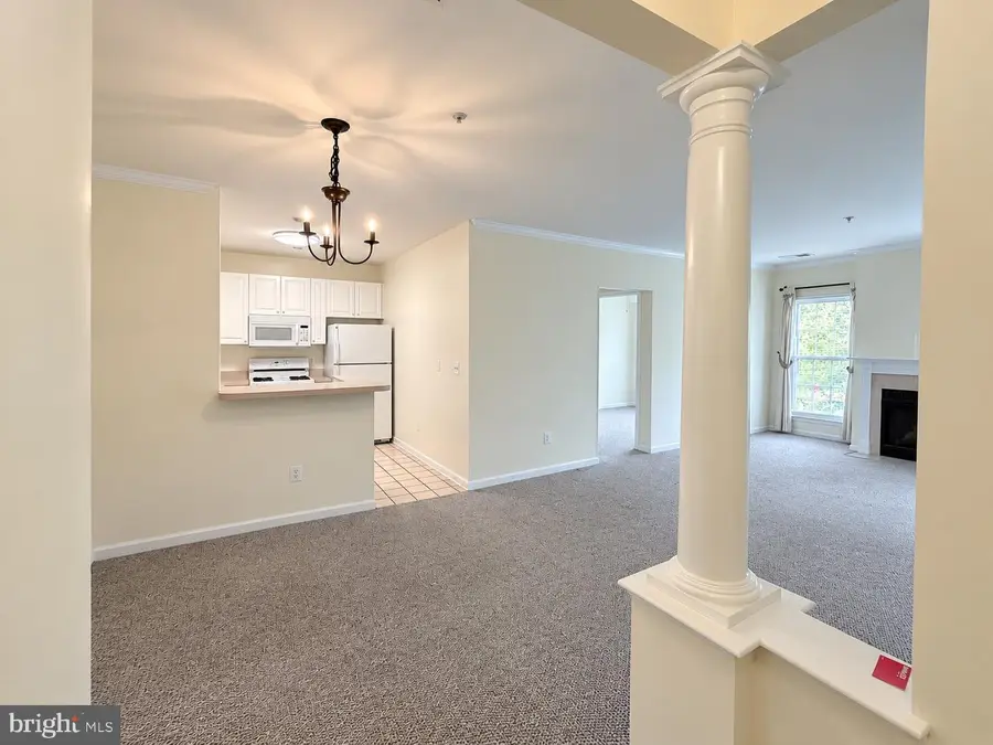 7000 Falls Reach Dr #209, Falls Church, VA 22043 - #3