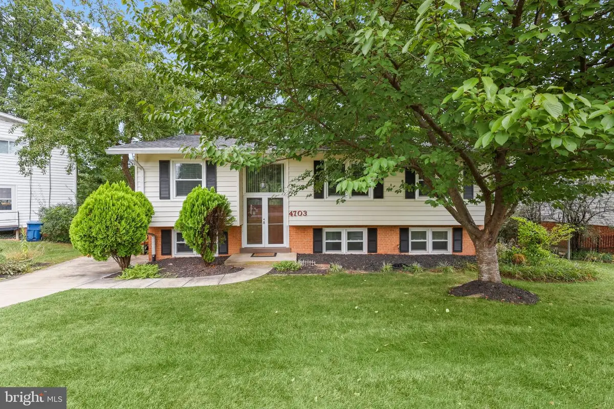 4703 Tara Dr, Fairfax, VA 22032 - #1