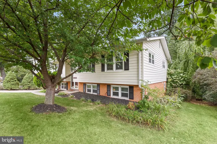 4703 Tara Dr, Fairfax, VA 22032 - #3