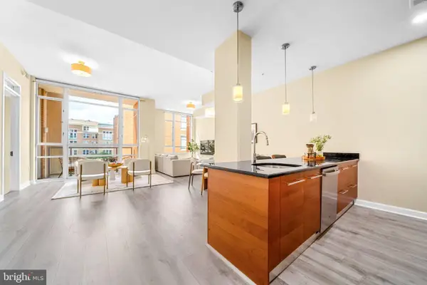12025 New Dominion Pkwy #204, RESTON, VA 20190