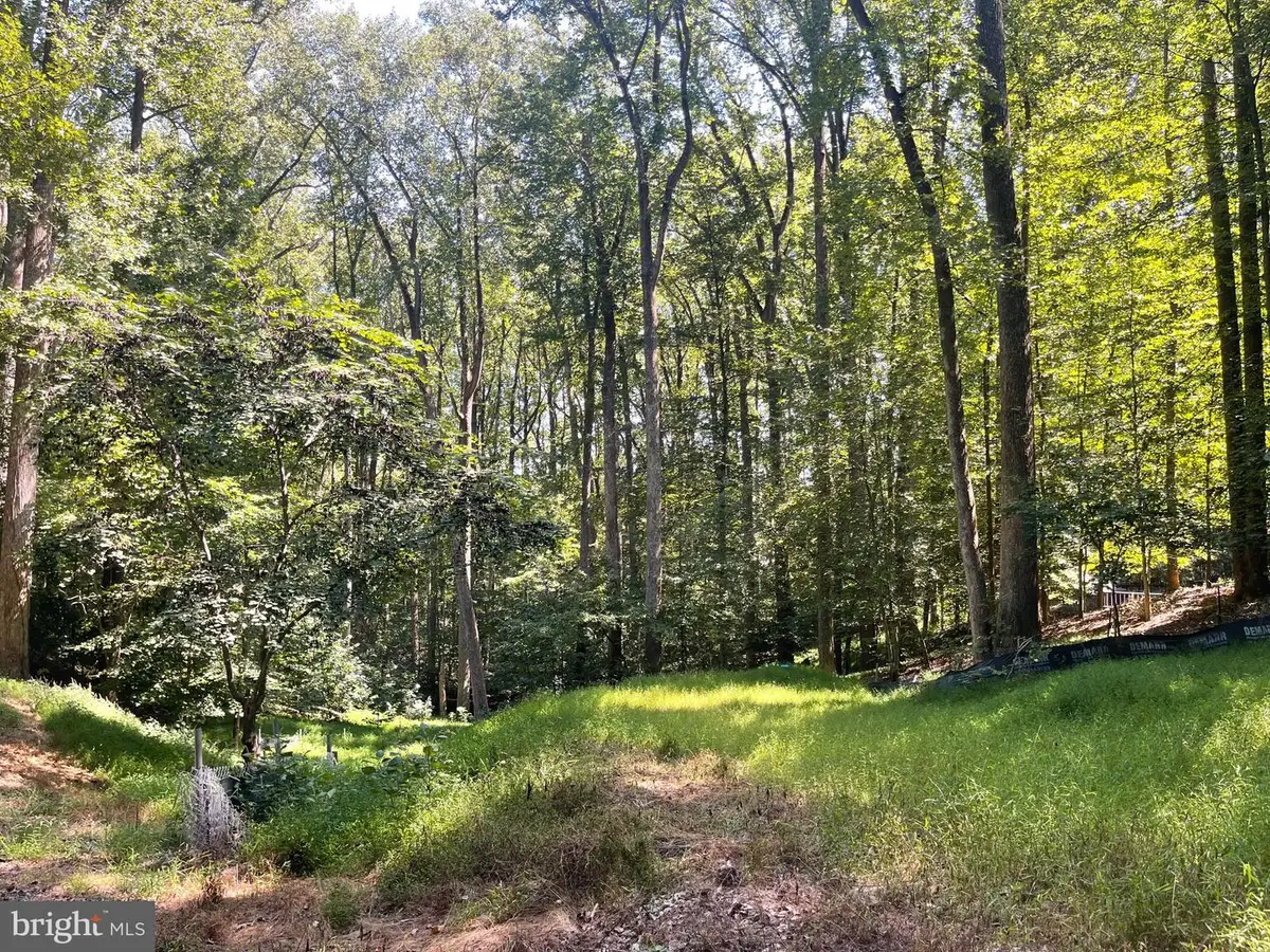 9203 Potomac Ridge Rd, Great Falls, VA 22066 - #1