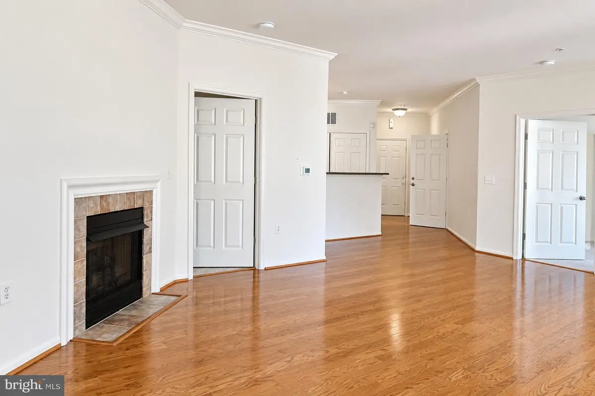 3021 Nicosh Cir #1110, Falls Church, VA 22042 - #1