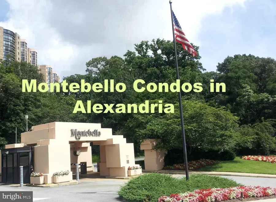 5902 Mount Eagle Dr #209, Alexandria, VA 22303 - #3