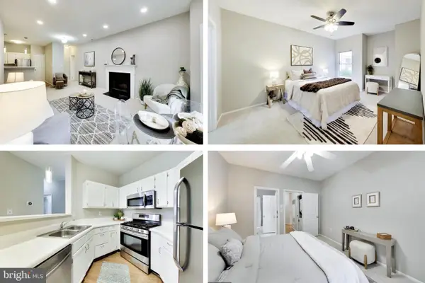 14313 Climbing Rose Way ##106, CENTREVILLE, VA 20121