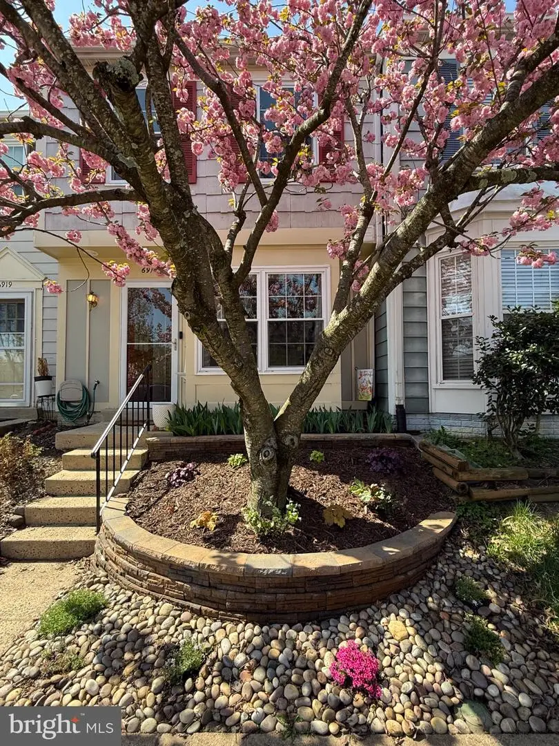 6917 Chiswick Ln, Alexandria, VA 22310 - #1