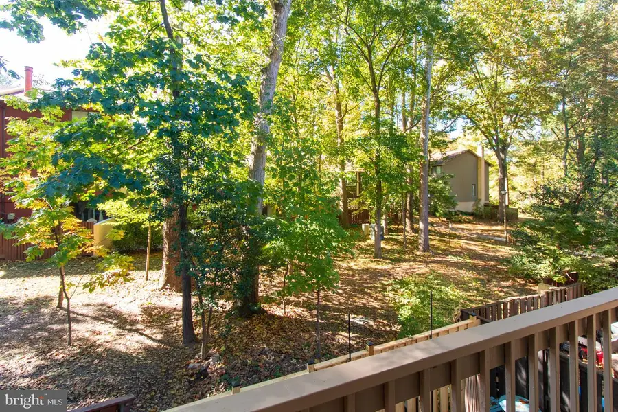 2218 White Cornus Ln, Reston, VA 20191 - #2