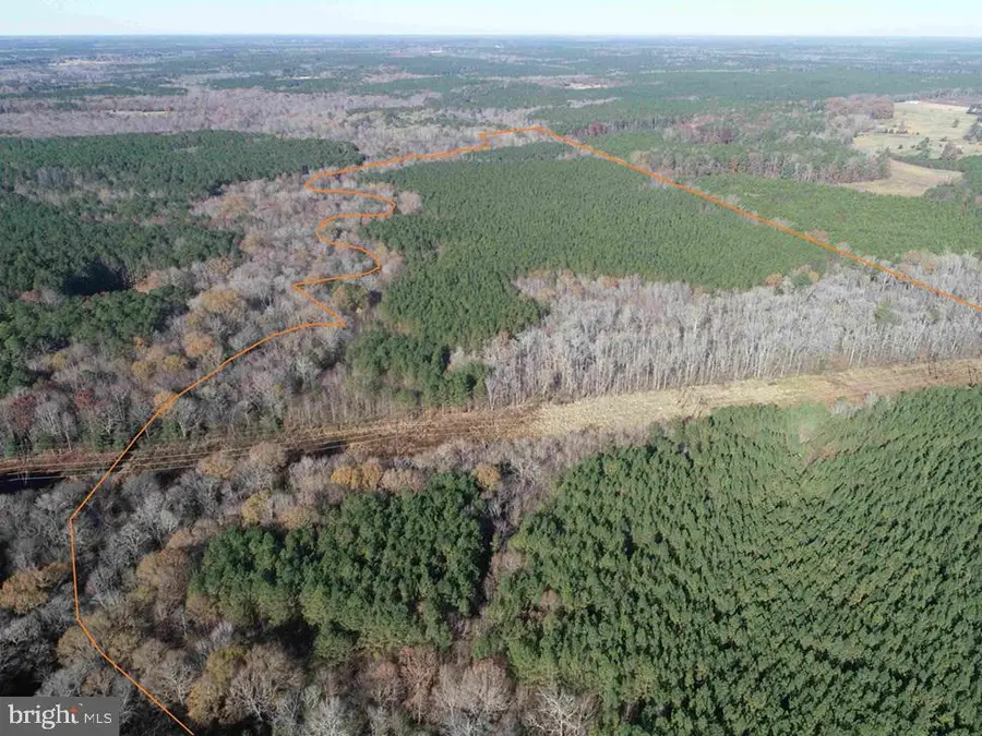 Slagles Lake Road (tract: Chesapeake George Rae), Emporia, VA 23847 - Image #2