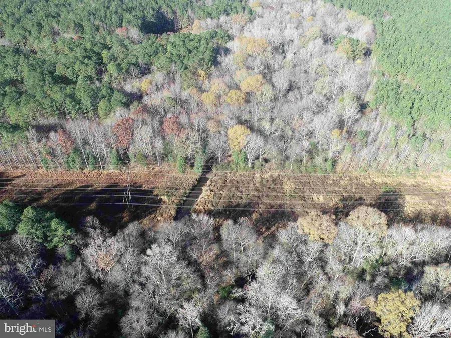 Slagles Lake Road (tract: Chesapeake George Rae), Emporia, VA 23847 - Image #3