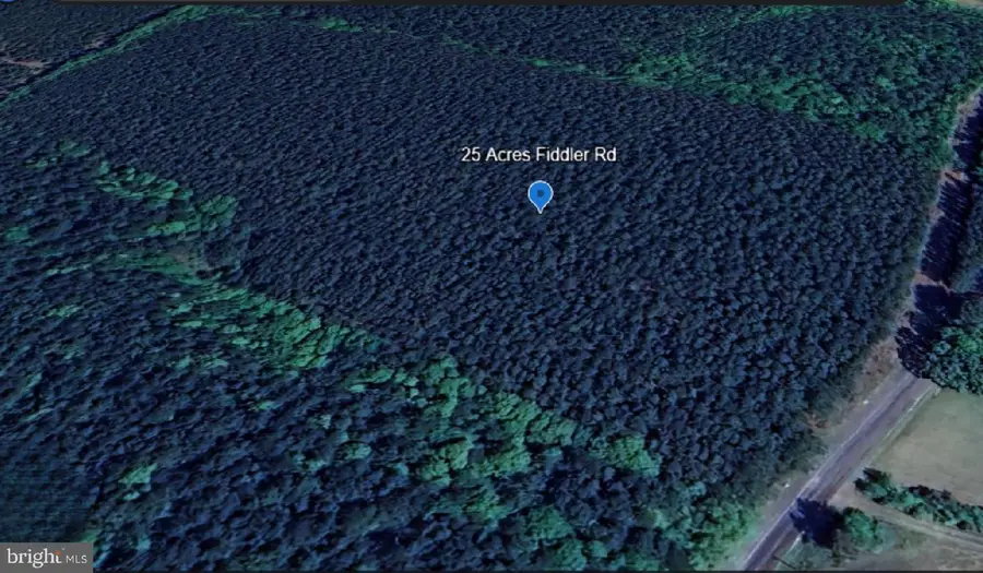 1515 Fiddlers Rd, Emporia, VA 23847 - Image #2