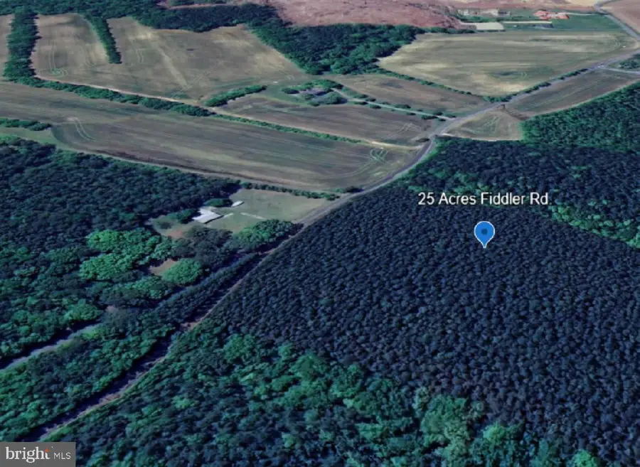 1515 Fiddlers Rd, Emporia, VA 23847 - Image #3