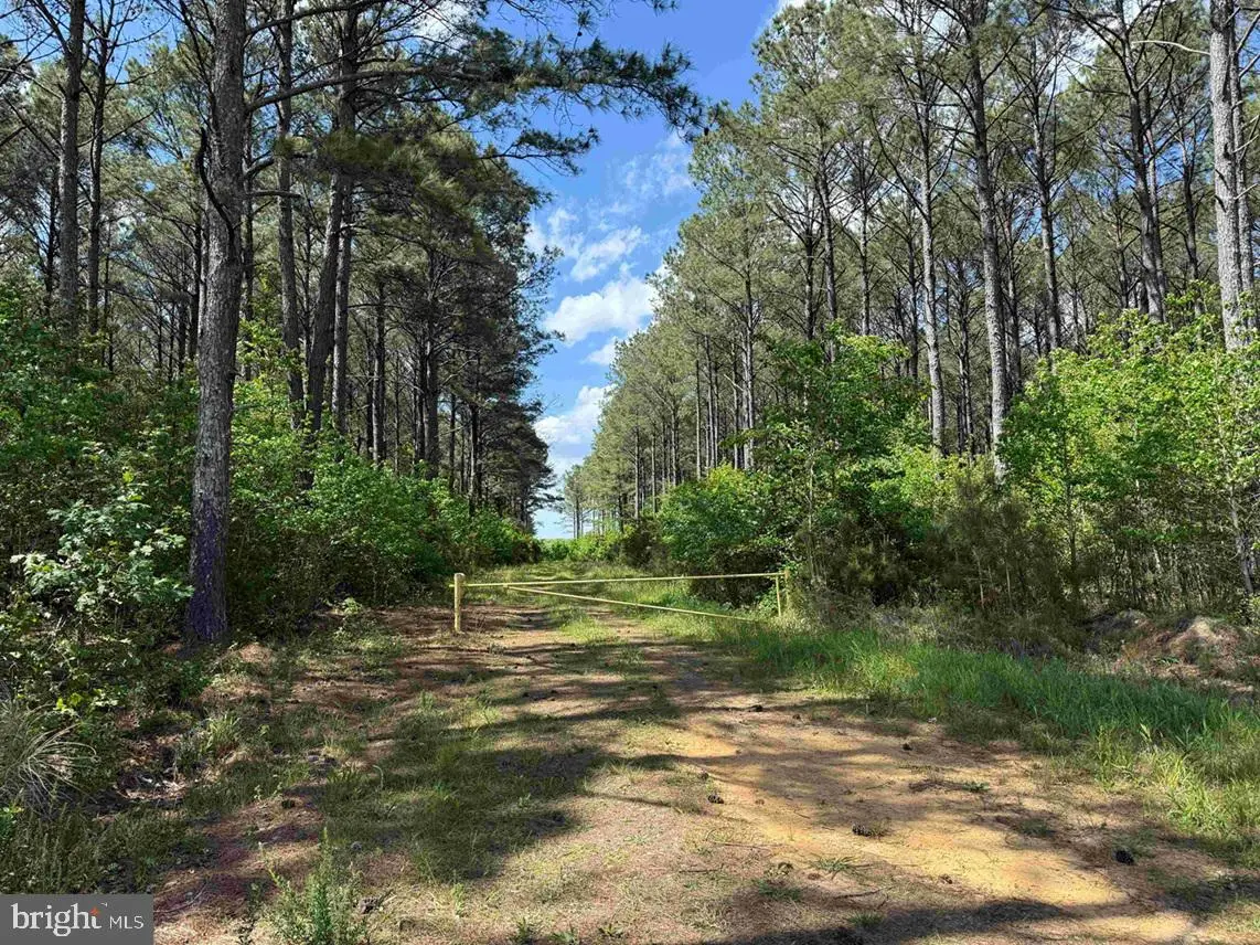 Taylors Mill Road (tract: Azalea Comp 18-2), Emporia, VA 23847 - #1