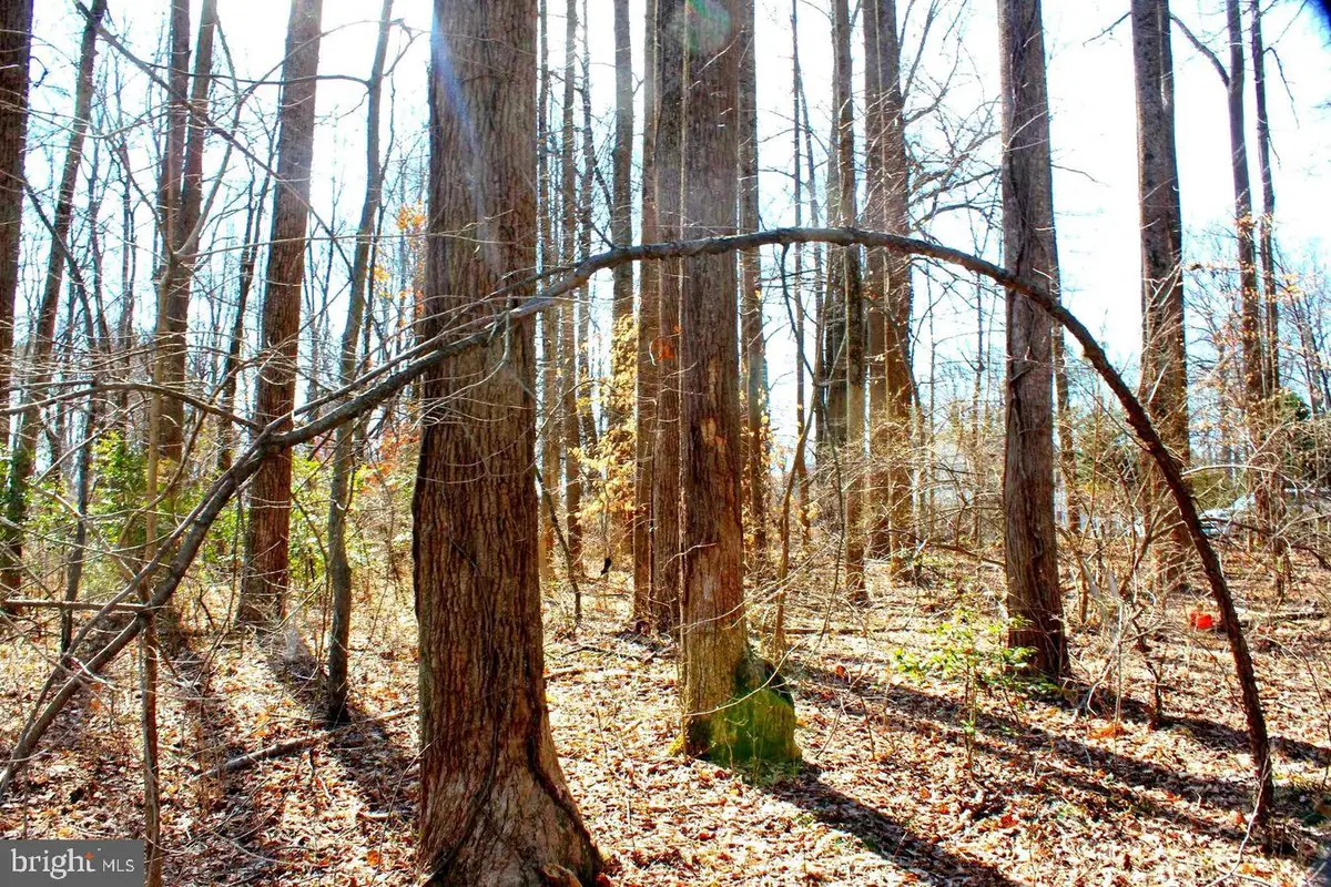 Bambi Ct, Beaverdam, VA 23015 - #1