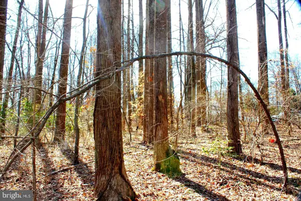 Bambi Ct, BEAVERDAM, VA 23015