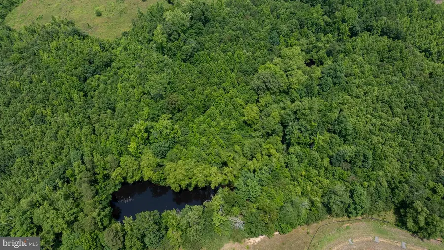 Tbd Piney Grove Road #lot 20, Alton, VA 24520 - Image #3