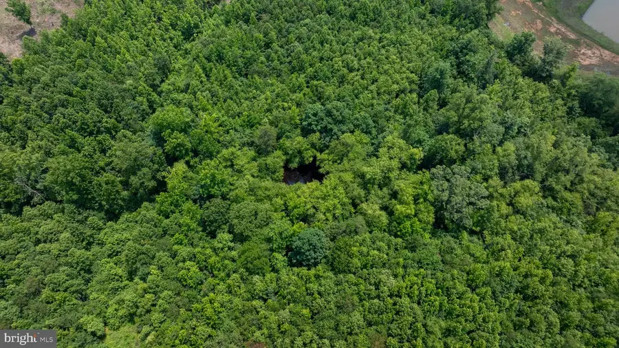 Tbd Piney Grove Road #21, Alton, VA 24520 - Image #3