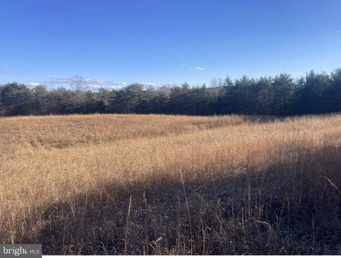 5049 Clover Rd, Clover, VA 24534 - #1