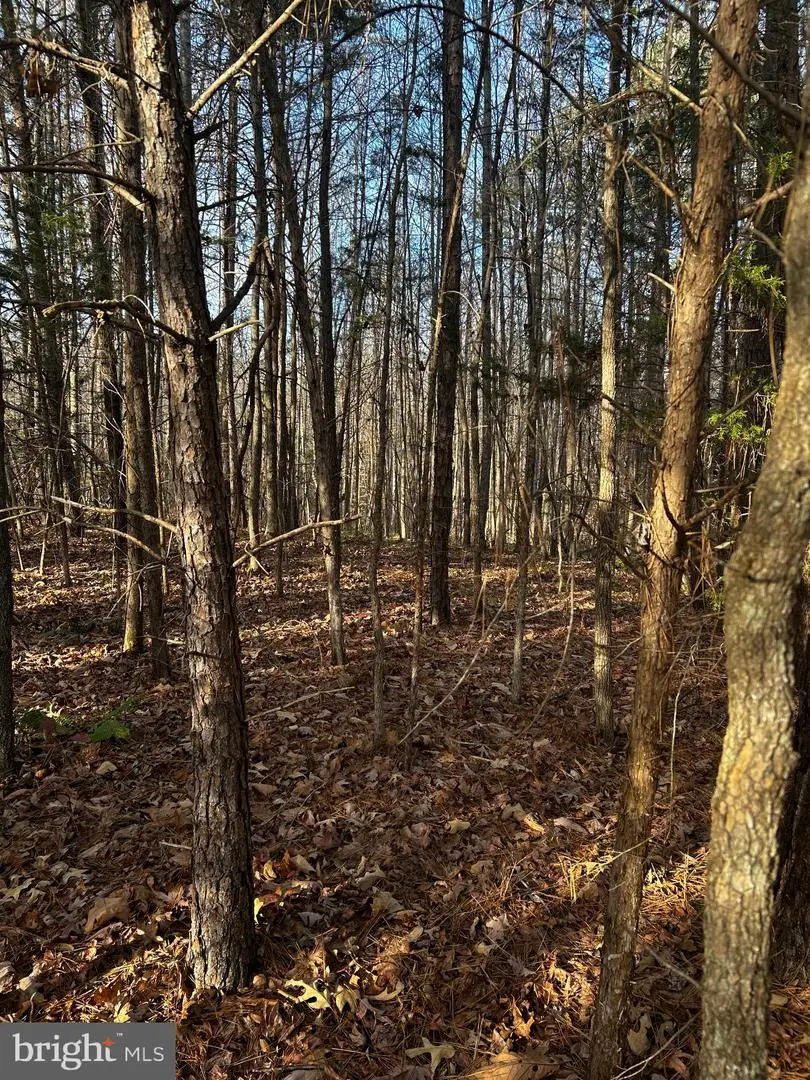 0 Bagwell Drive, Scottsburg, VA 24589 - #3