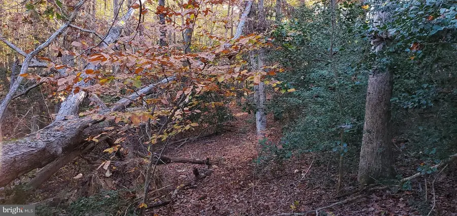 #3