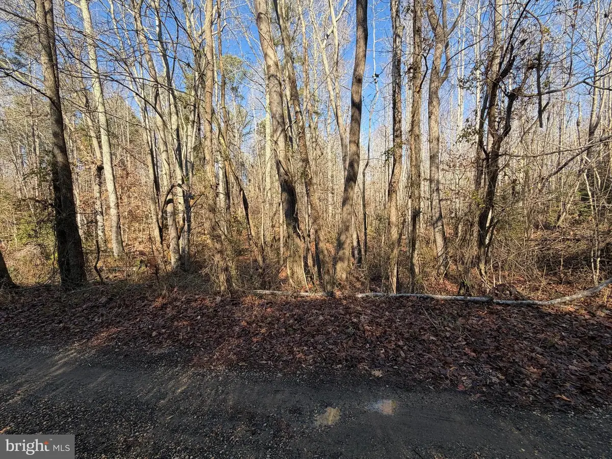 Lot 2a Turkey Acres Rd, King George, VA 22485 - Image #1