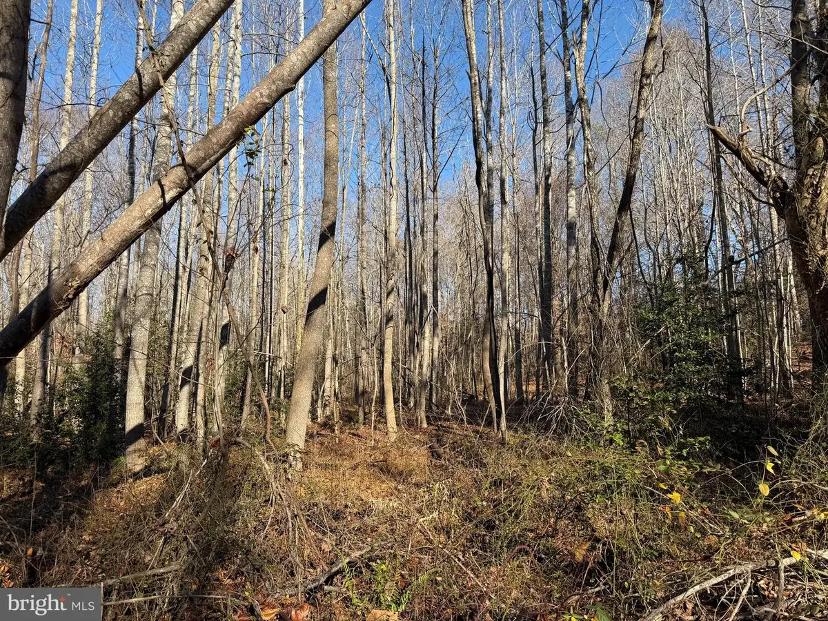 Lot 2 B Turkey Acres Rd, King George, VA 22485 - Image #1