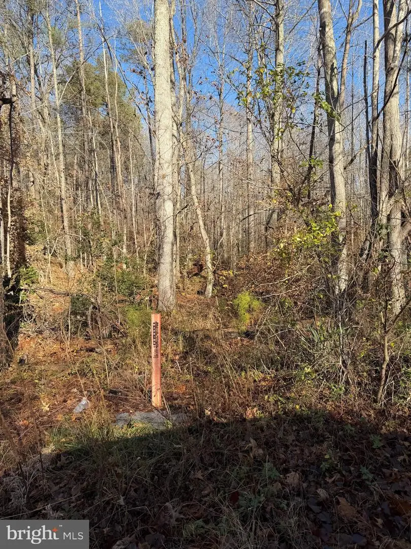 Lot 2 B Turkey Acres Rd, King George, VA 22485 - Image #2