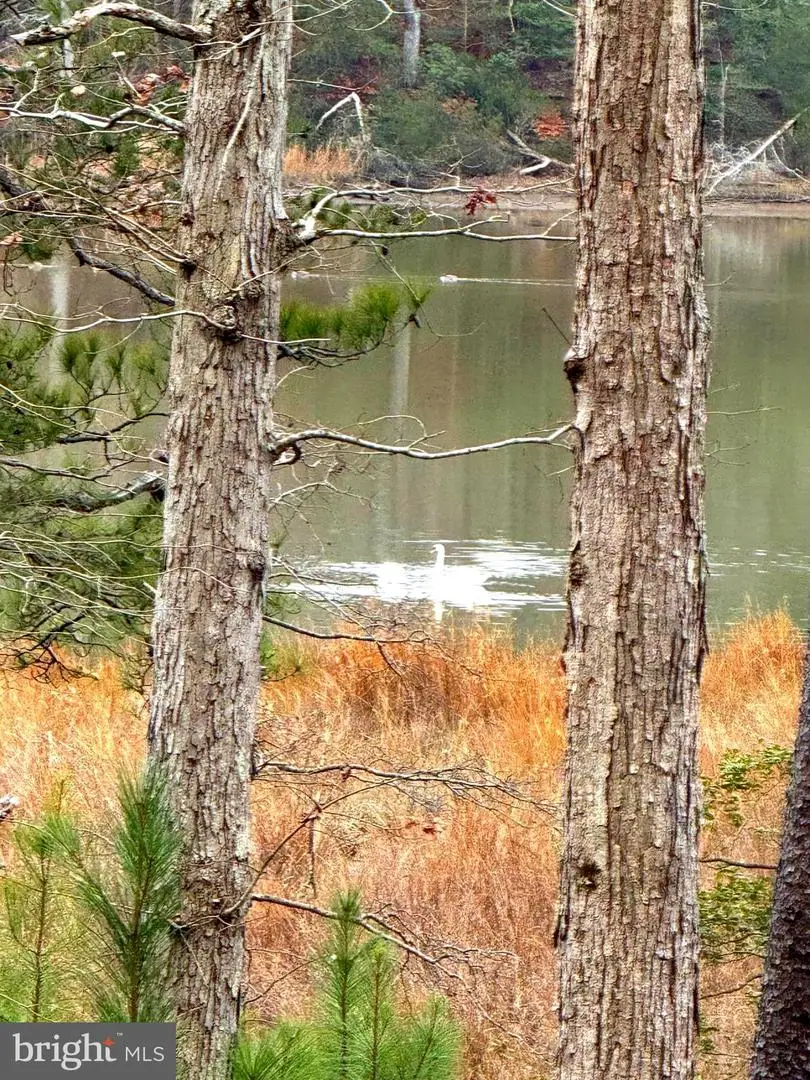 3 Seagrass Ct, King George, VA 22485 - Image #1