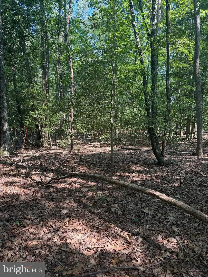0000 Nancy Ln, King George, VA 22485 - #3