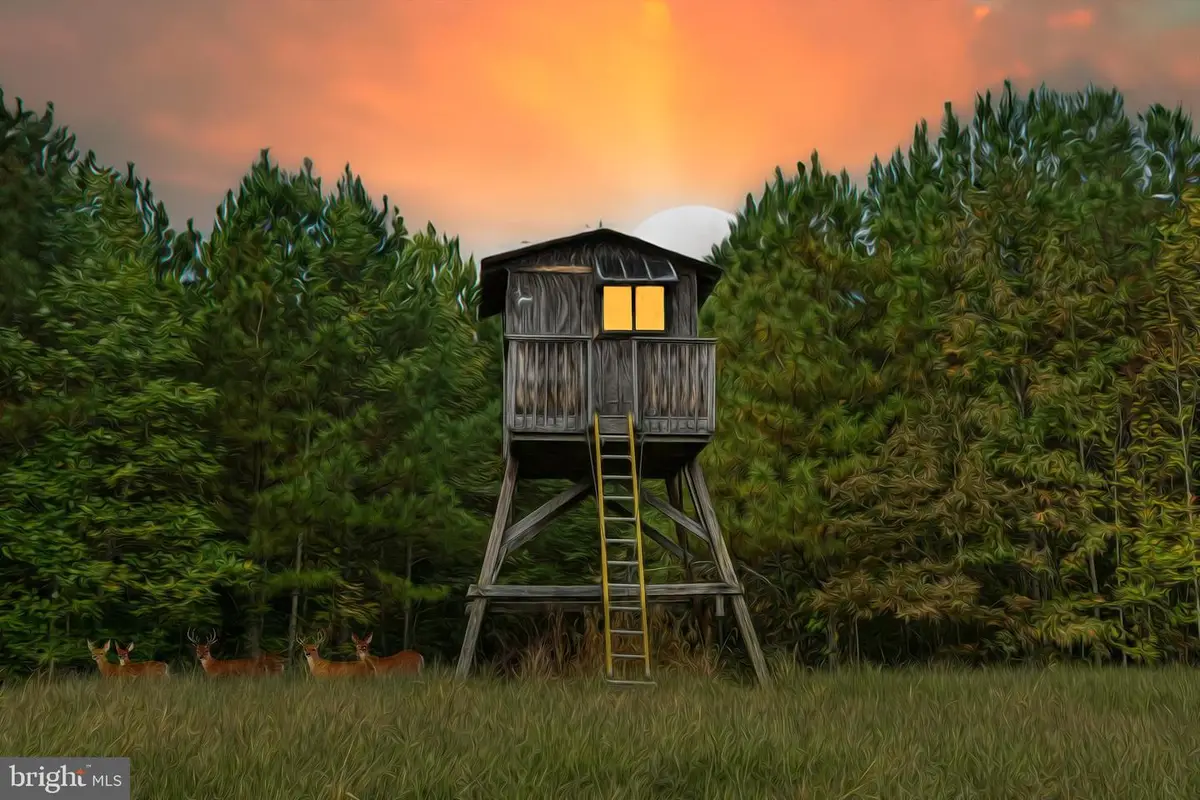 Cross Country Rd., Mineral, VA 23117 - Image #1