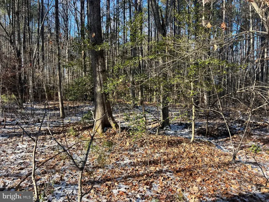 Roderick Pl, Mineral, VA 23117 - Image #3