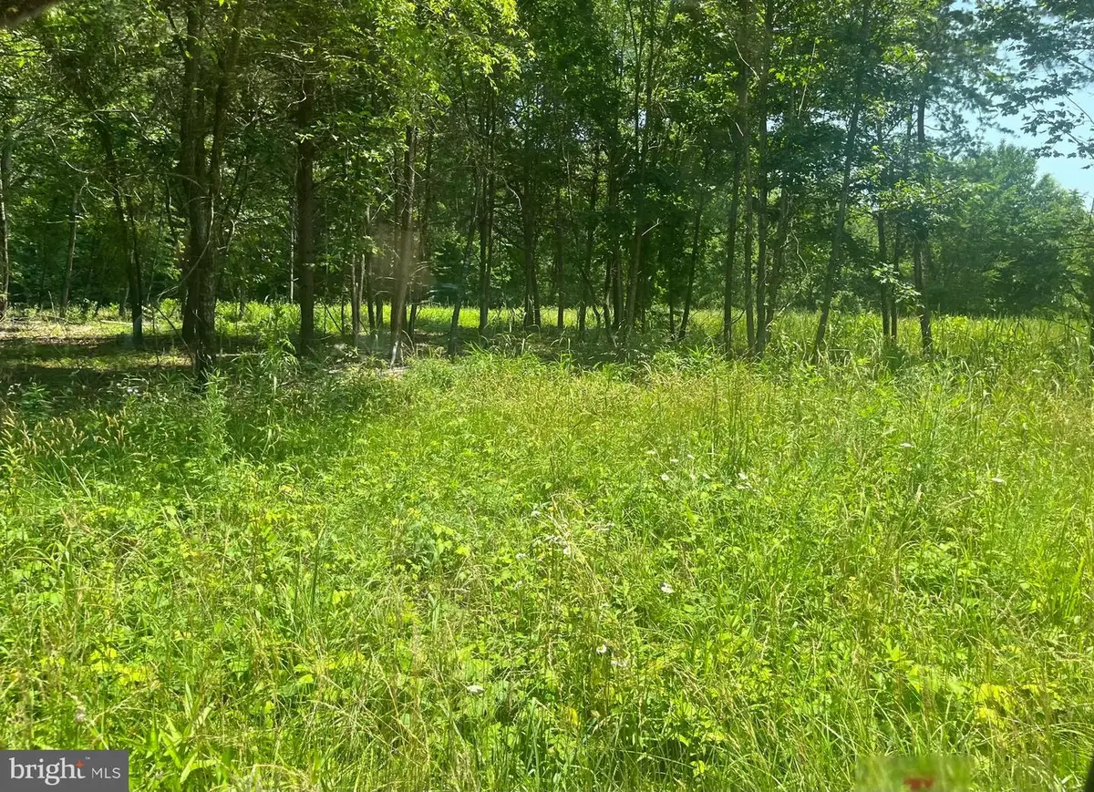 Lot 2 Kentucky Springs Rd, Bumpass, VA 23024 - #1