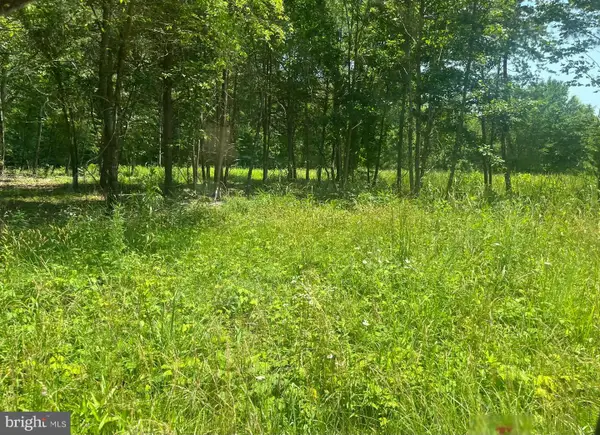 Lot 2 Kentucky Springs Rd, BUMPASS, VA 23024