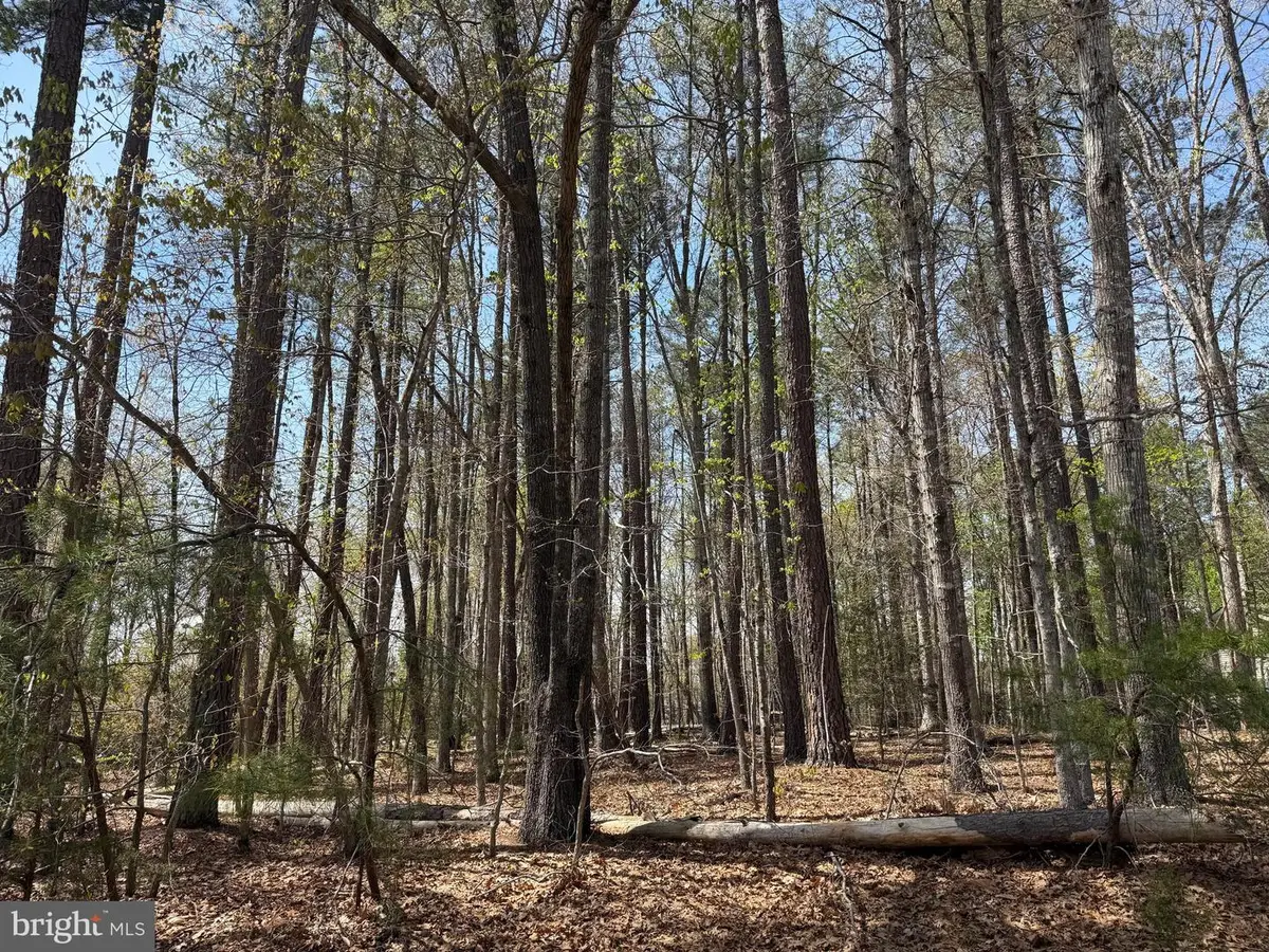 Windwood Coves Blvd, Mineral, VA 23117 - #1