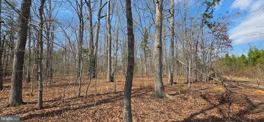 Lot A Campbell Rd, Keswick, VA 22947 - #2