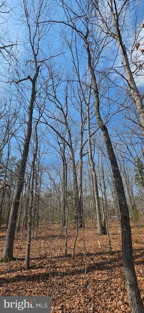 Lot A Campbell Rd, Keswick, VA 22947 - #3