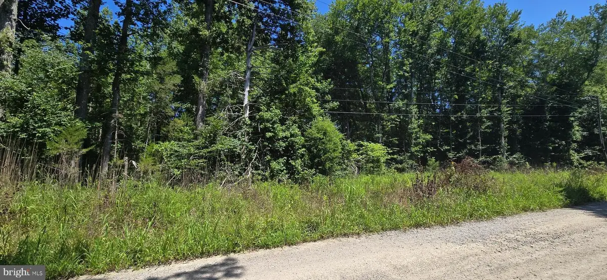 Lot 19 Meadowview Lane, Mineral, VA 23117 - #1