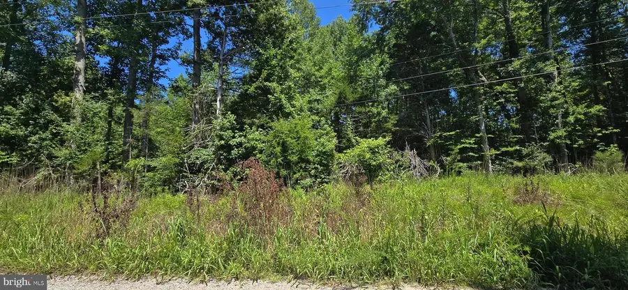 Lot 19 Meadowview Lane, Mineral, VA 23117 - #2