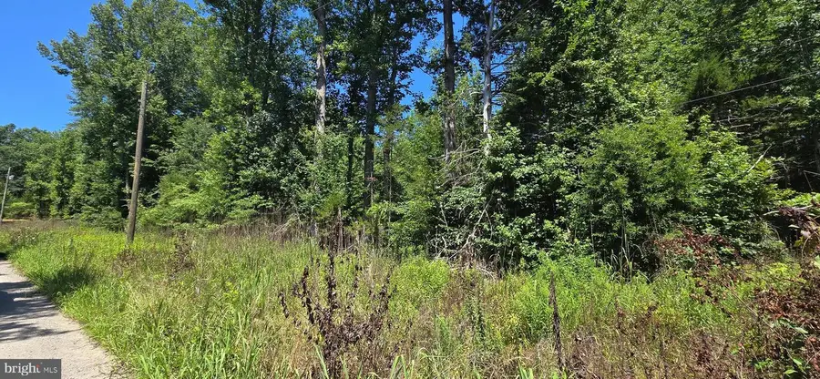Lot 19 Meadowview Lane, Mineral, VA 23117 - #3