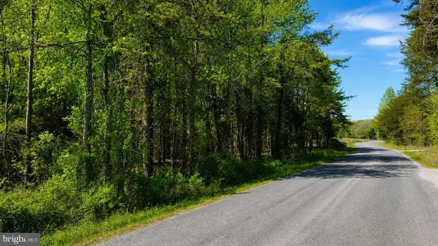 000-000 Hensley Rd, Mineral, VA 23117 - #3