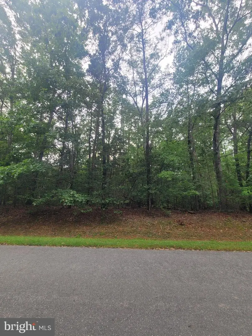 Lot 15 Shorewood Dr, Mineral, VA 23117 - #1