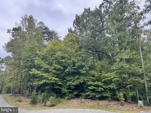 Lot 159 Erin Ln, Mineral, VA 23117 - #2