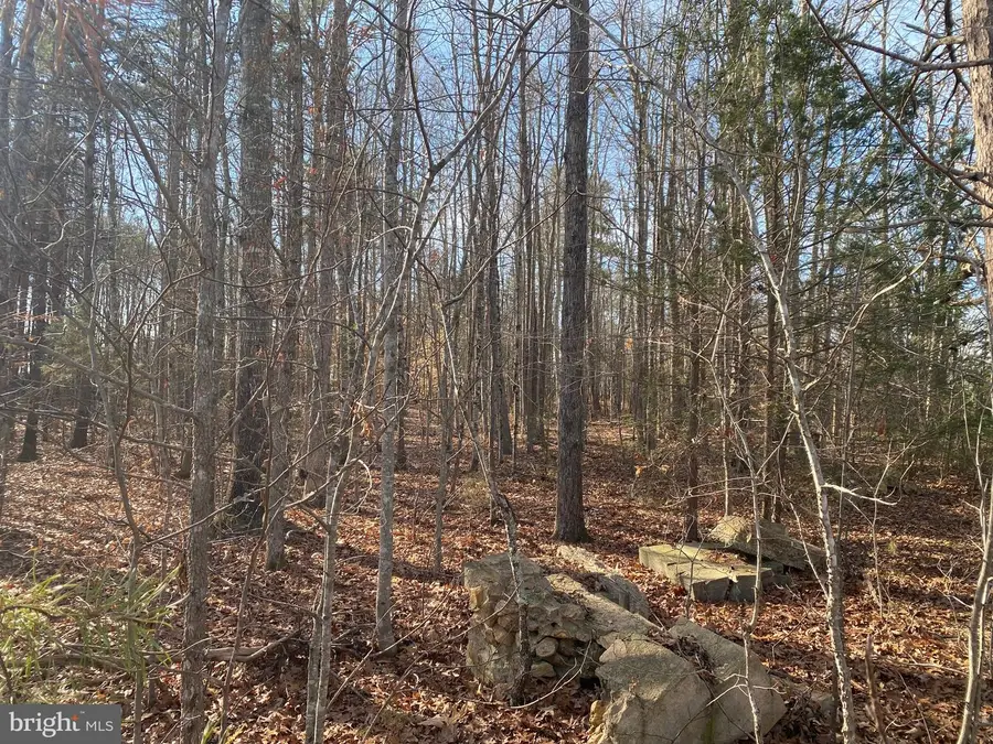 Tbd Nutbush #prn 996, Green Bay, VA 23942 - #2