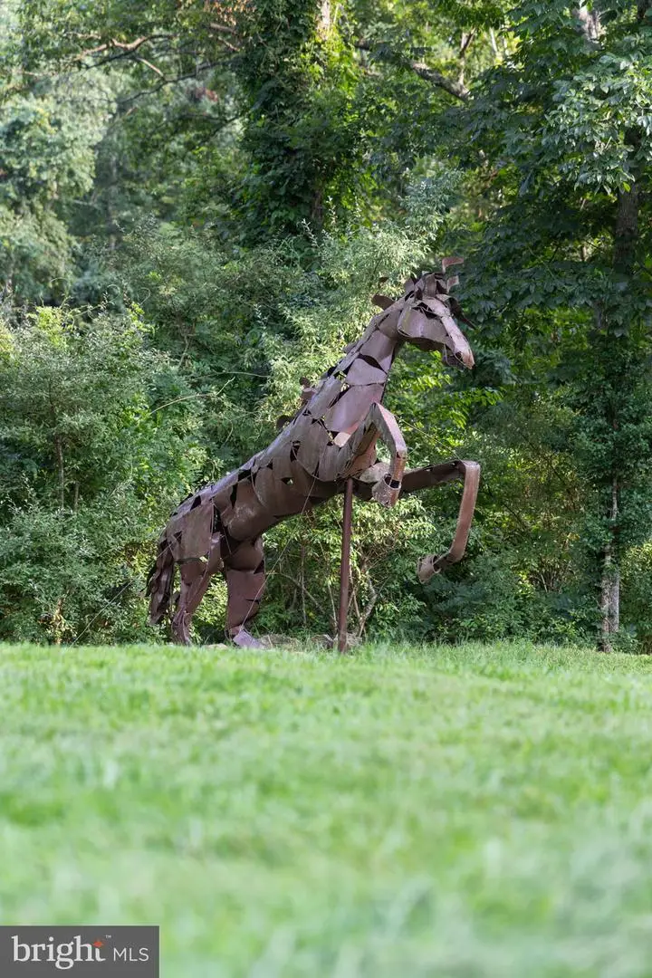 35162 Notre Dame Ln, Middleburg, VA 20117 - Image #3