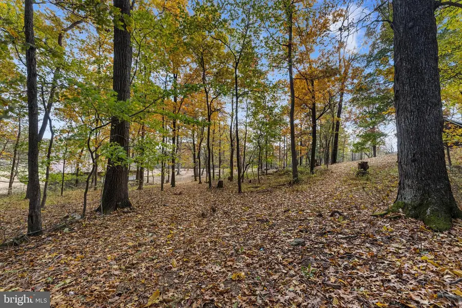 16559 Woodchase Ln, Round Hill, VA 20141 - Image #3