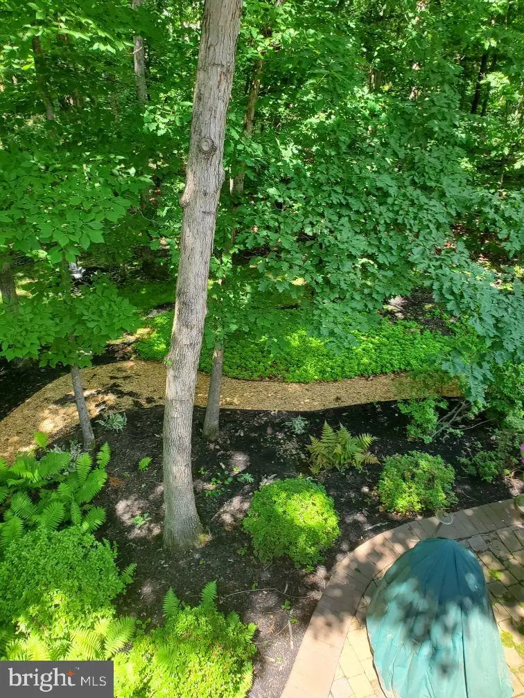 42831 Falling Leaf Ct, Ashburn, VA 20148 - Image #3