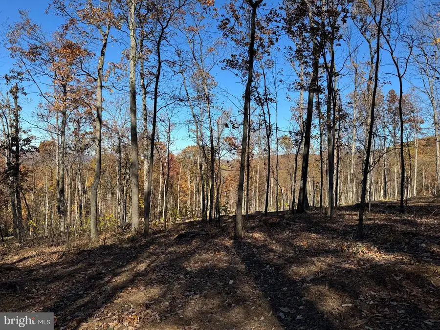 0 Digging Bear Ln, Purcellville, VA 20132 - Image #3