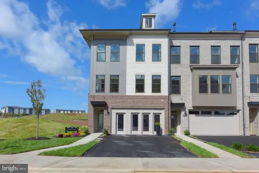 23590 Raytown Ter, Ashburn, VA 20148 - Image #1