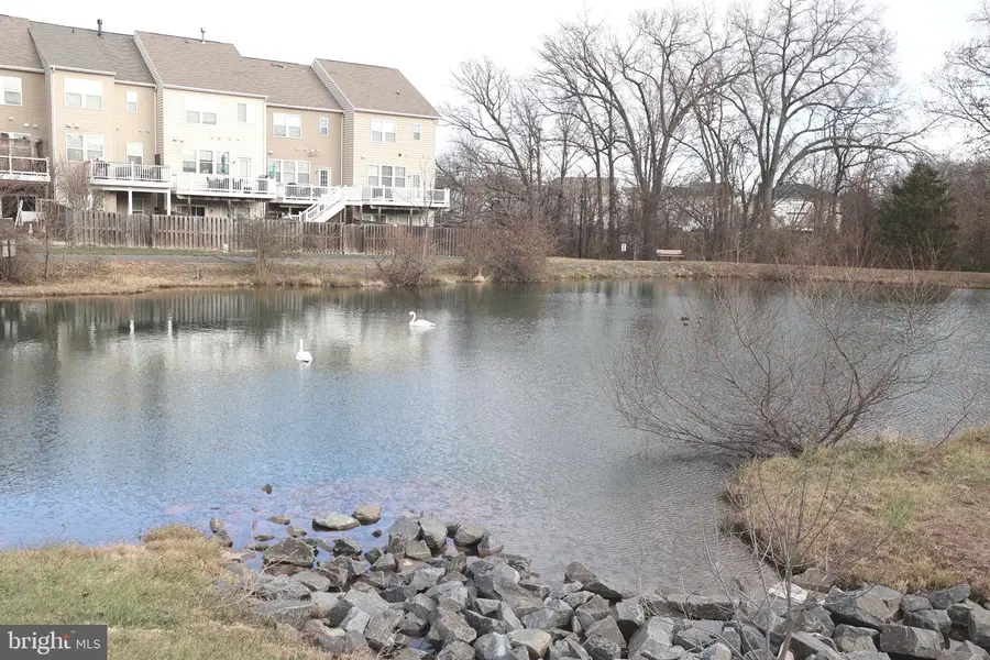 20545 Rolling Water Ter, Ashburn, VA 20147 - Image #2