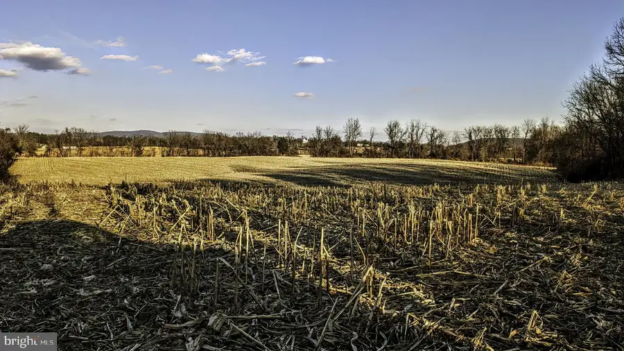 40455 Quarter Branch Rd, Lovettsville, VA 20180 - Image #3