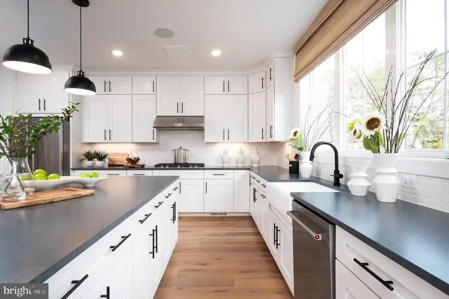 42147 Gilded Stone Ter, Brambleton, VA 20148 - Image #3